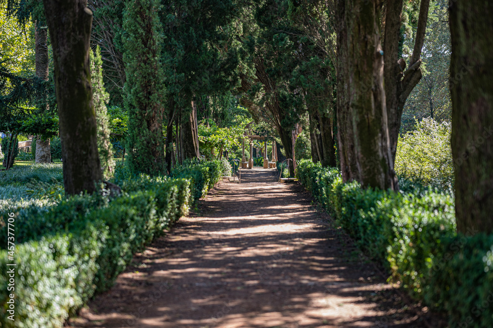 footpath in the park