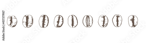 Hand sketch drawing coffee beans