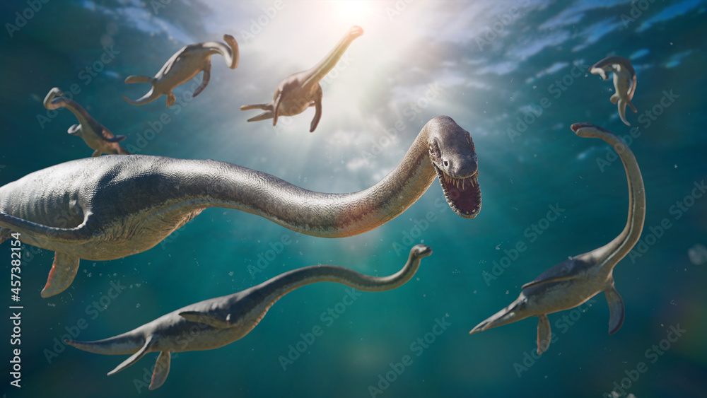 Elasmosaurus, group of long-necked plesiosaurs from the Late Cretaceous ...