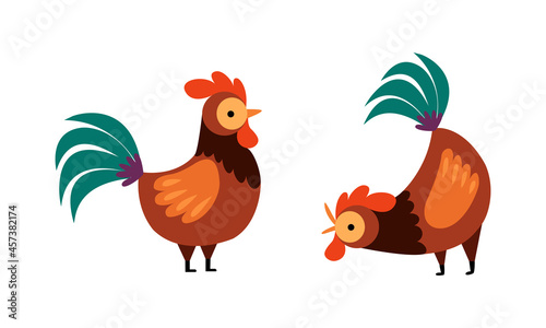 Rooster or Cock Character Crowing and Standing Vector Set