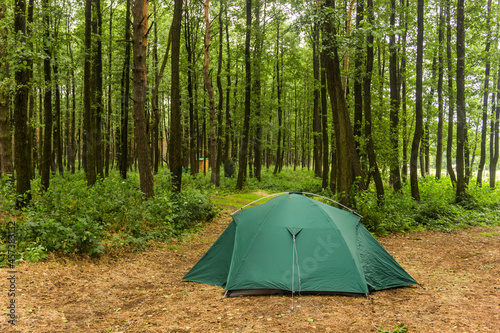 green tent in the forest