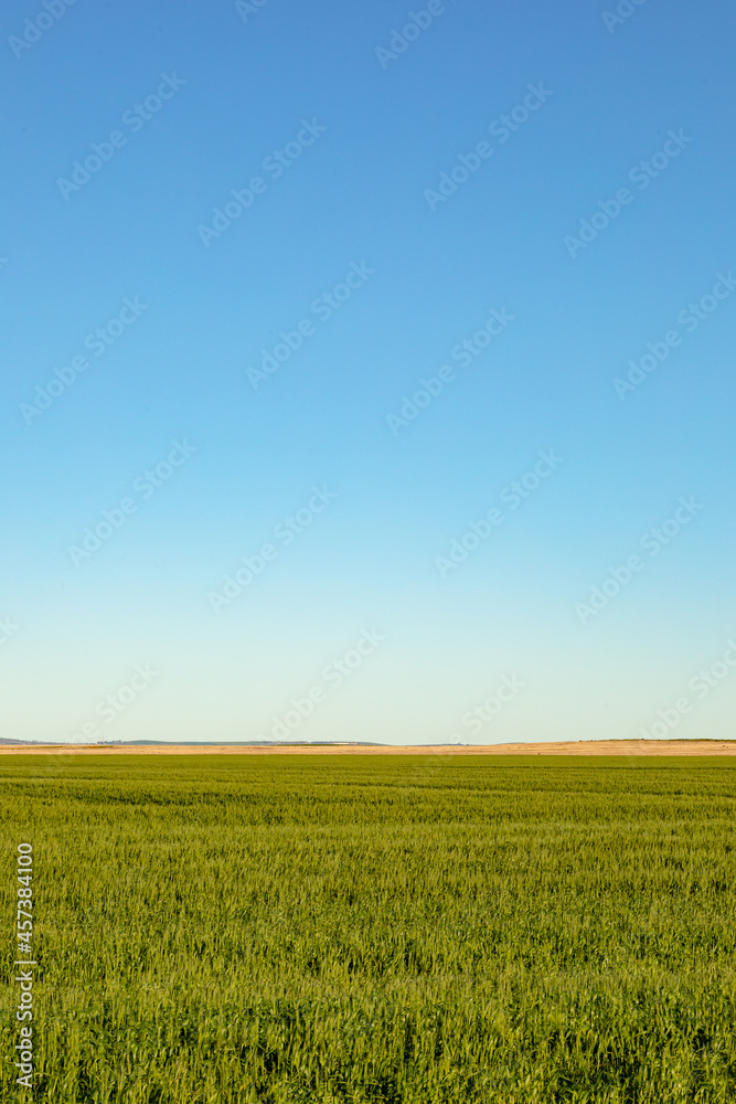 General view of countryside landscape with cloudless sky General view of countryside landscape with cloudless sky