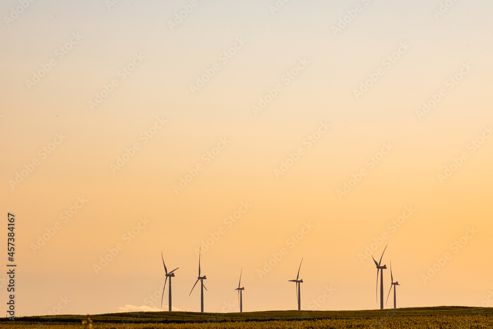 Obraz premium General view of wind turbines in countryside landscape during sunset