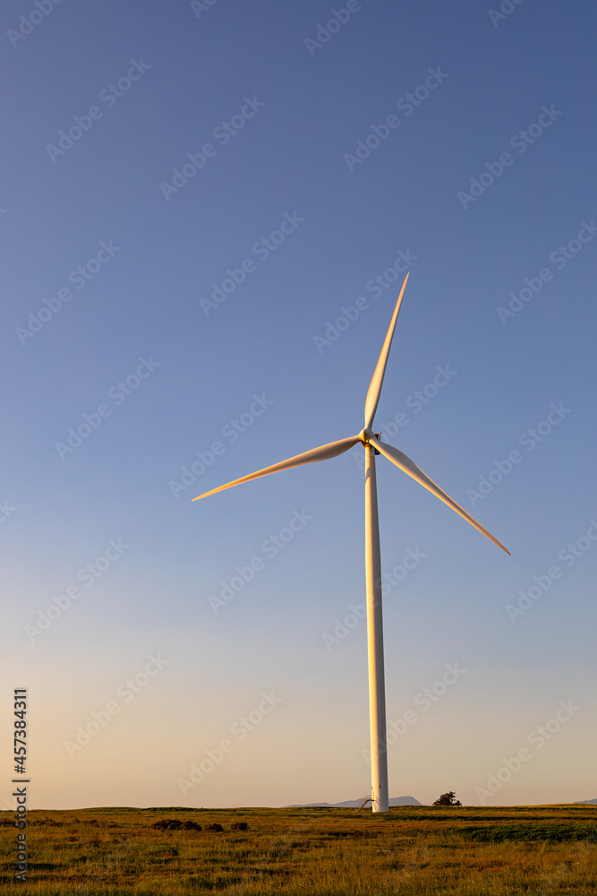 General view of wind turbine in countryside landscape with cloudless sky General view of wind turbine in countryside landscape with cloudless sky