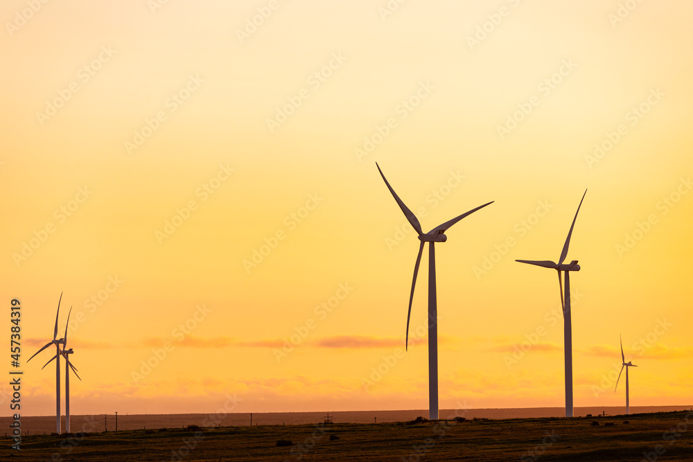 Obraz premium General view of wind turbines in countryside landscape during sunset