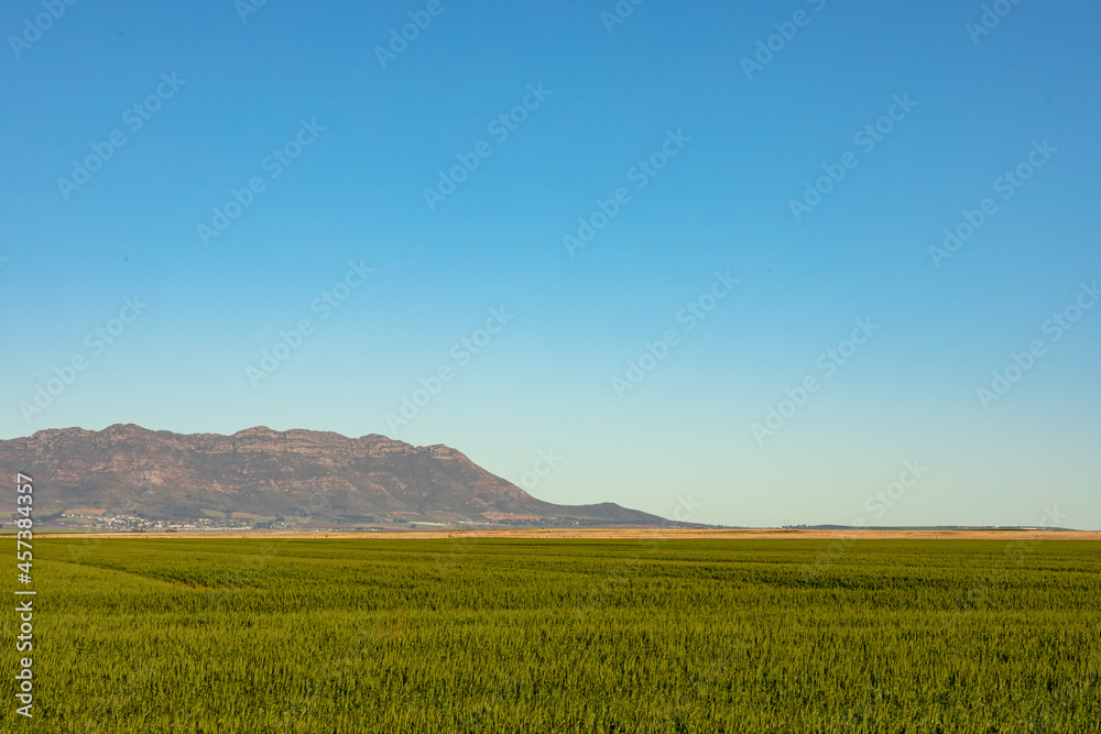 General view of countryside landscape with cloudless sky