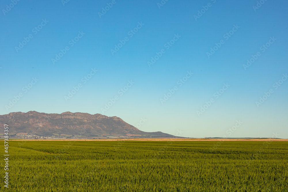 General view of countryside landscape with cloudless sky General view of countryside landscape with cloudless sky