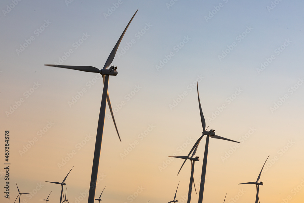 Fototapeta premium General view of wind turbines in countryside landscape with cloudless sky