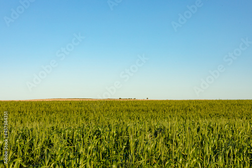 General view of countryside landscape with cloudless sky