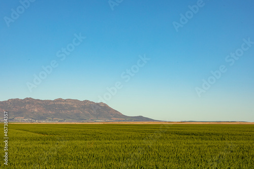 General view of countryside landscape with cloudless sky