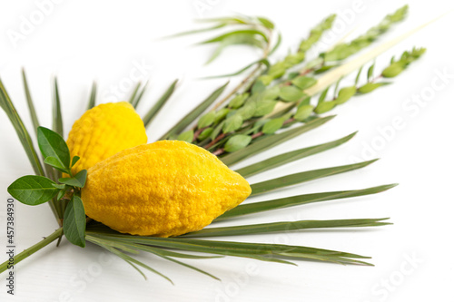 Fotografie Jewish holiday of Sukkot