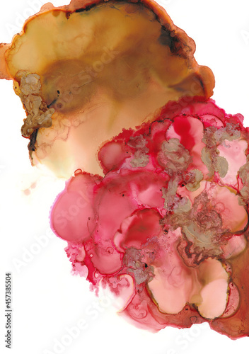 Fototapeta Naklejka Na Ścianę i Meble -  Luxury abstract fluid art background. Red alcohol ink technique red and gold. Ink, paint, abstract. Closeup of the painting. High quality details. Alcohol ink modern painting, modern contemporary art