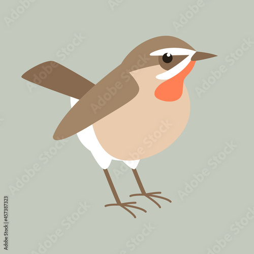 flycatcher  bird, flat style, vector illustration, side