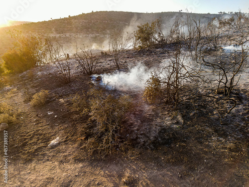 Jindires, Syria - September 14, 2021: Fires erupt in the mountainous forests in the village of Jindires in the countryside of Afrin on the Syrian-Turkish border photo