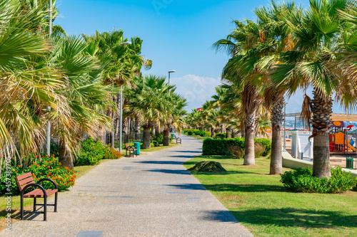Palm trees along beach promenade in Side, Turkey