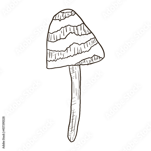 Vector isolated doodle illustration of wild mushroom toadstool in outline style.