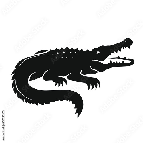 Alligator isolated on white. Vector illustration.