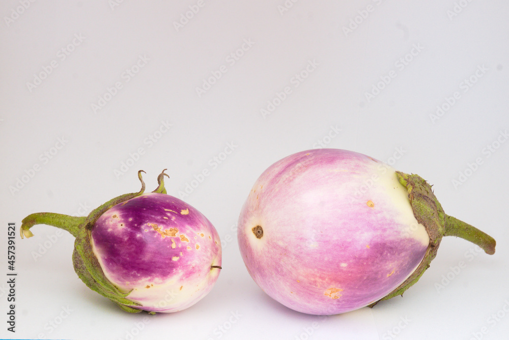 White-lilac eggplant fruit(s) - Rotondo Bianca White-lilac eggplant fruit(s) - Rotondo Bianca