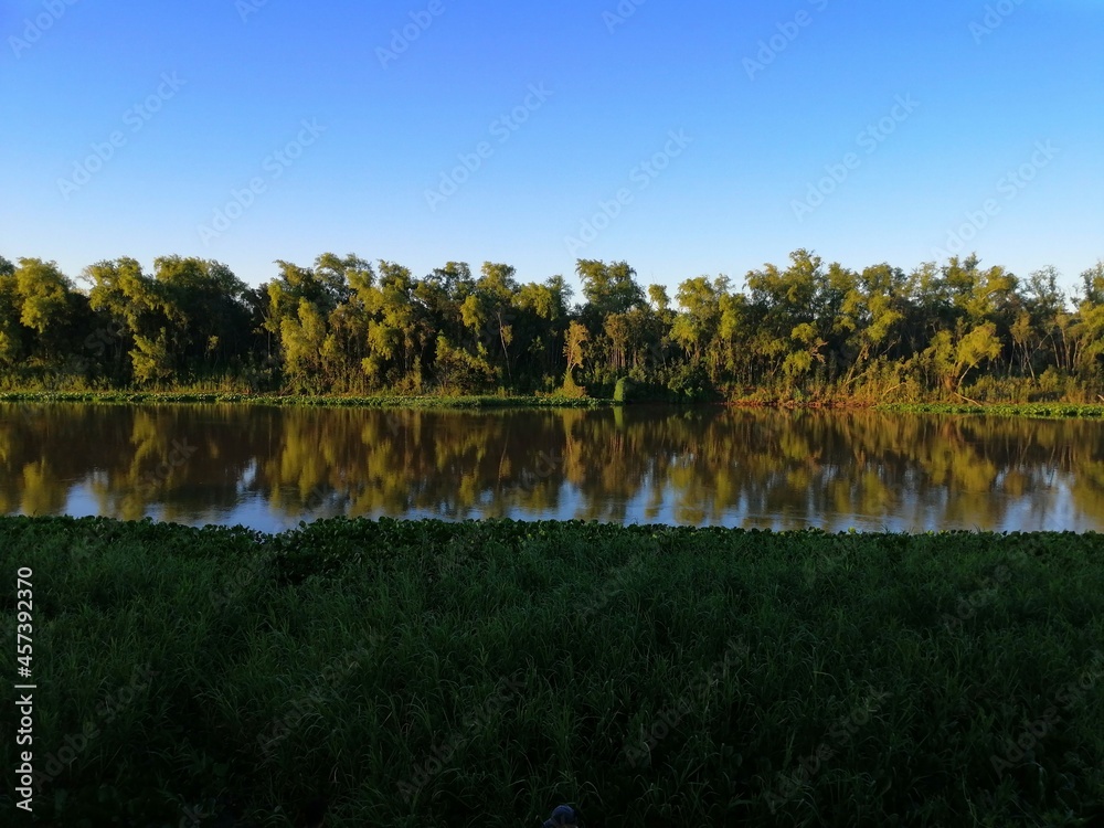 Fototapeta premium lake in the forest