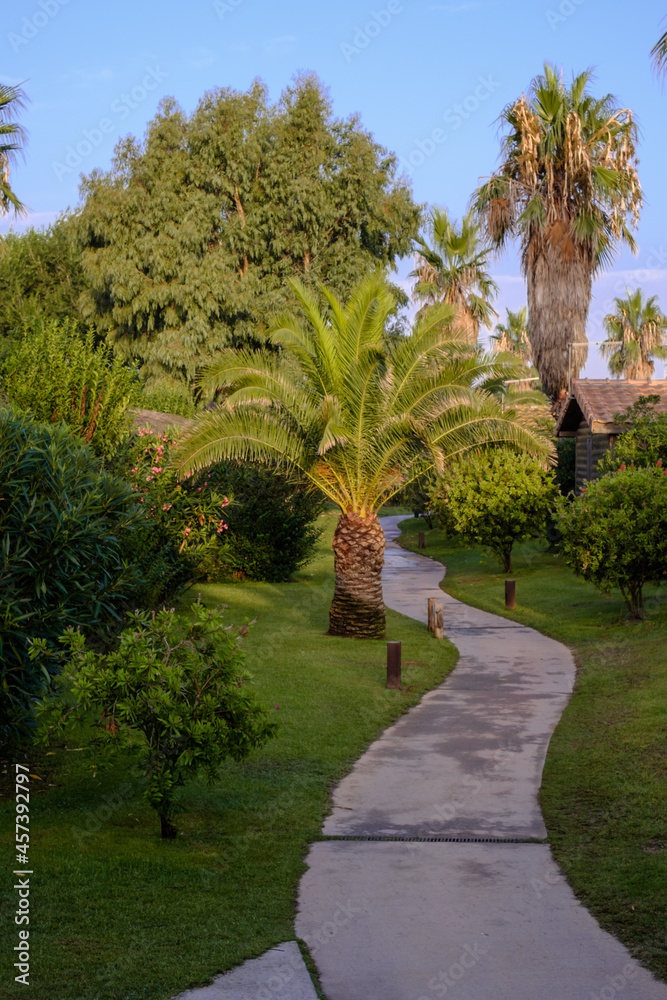Walkway path on a tropical resort landscape with green palm trees on a blue sky