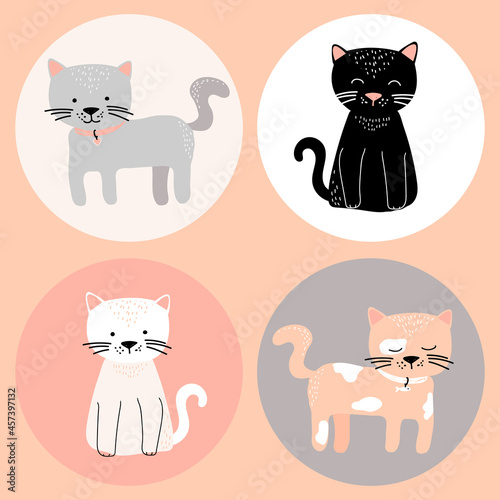 Set of 4 cute cats in rounds. HOME PET. Vector illustration. Isolated on beige. Baby print