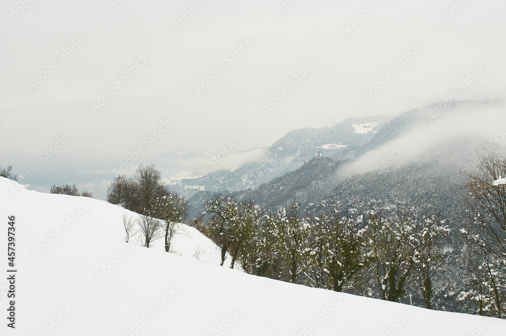 Zimowy krajobraz górski. Rozproszone światło, w dole zielone drzewa. Płatki śniegu, Śnieżyca - obrazy, fototapety, plakaty 