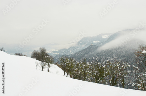 Zimowy krajobraz górski. Rozproszone światło, w dole zielone drzewa. Płatki śniegu, Śnieżyca
