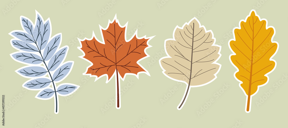 Obraz premium Hand drawn autumn leaves. Set of vector autumn leaves stickers. Hand drawn elements. Botanical leaves, flower. Seasonal banner. September fall. October party. Autumn stickers. Vector illustration.