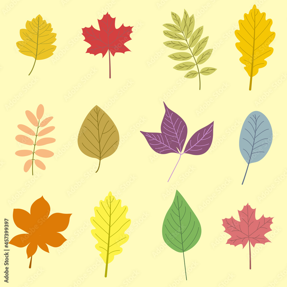 Set of vector autumn leaves stickers. Hand drawn autumn leaves. Hand drawn elements. Botanical leaves, flower. Seasonal banner. September fall. October party. Autumn stickers. Vector illustration.