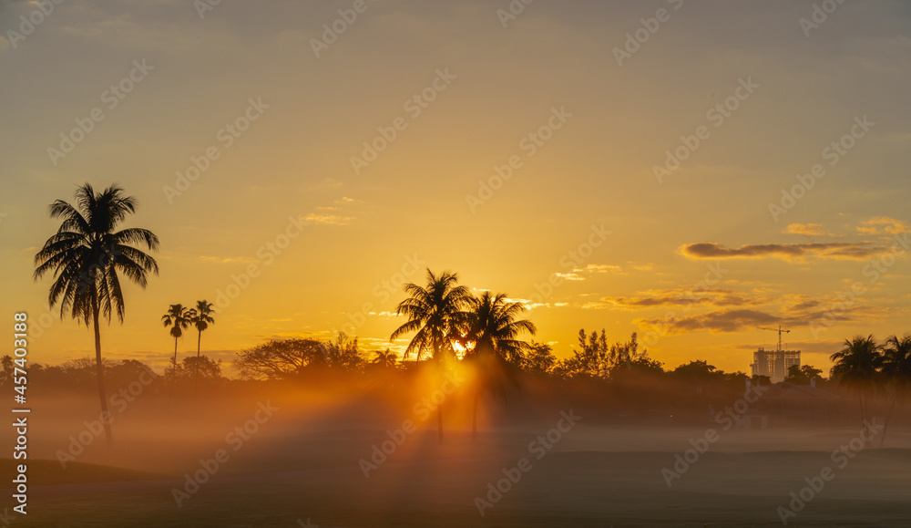 sunset tropical Miami Florida usa palms sun sky color orange beautiful