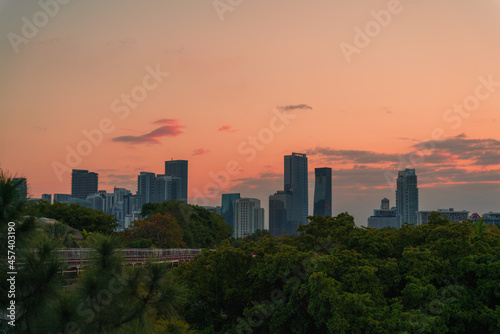 city skyline at sunset Miami Florida usa beautiful