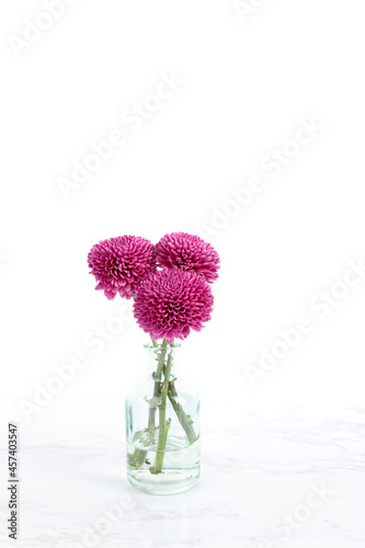 Small bunch of flowers in glass vase on bright white background