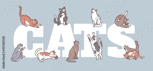 Poster with cats in different poses. Not pedigreed pets outline doodle vector flyer or banner.