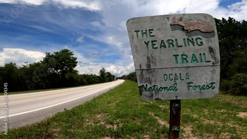 Sign to the Yearling trail at the Ocala National Forest photo