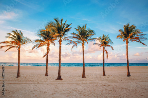 Florida empty beach landscape with six palm trees and ocean at sunset. © Cavan