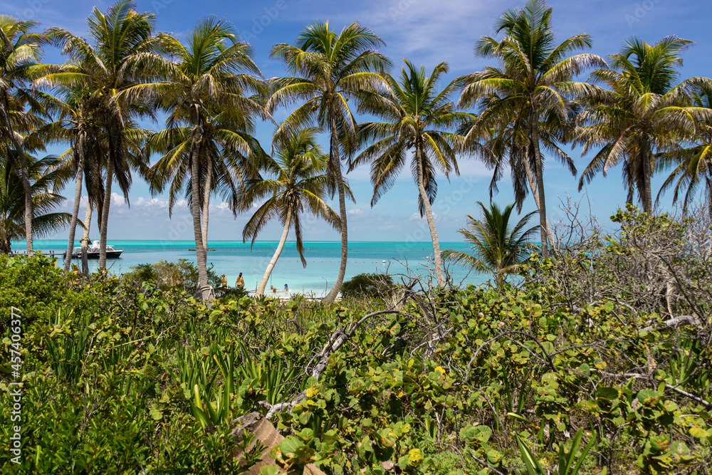 Aussicht auf einer einsamen Insel in der Karibik