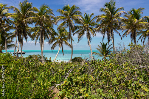Fototapeta Naklejka Na Ścianę i Meble -  Aussicht auf einer einsamen Insel in der Karibik