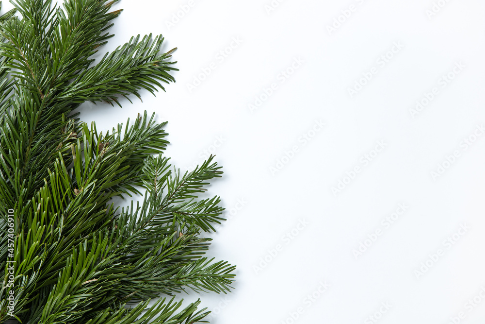 Christmas background. Nobilis fir branches, twigs on white background. Copy space, mock up, flat lay, top view, close-up. Holiday, Xmas, New Year concept, layout with place for text. Horizontal