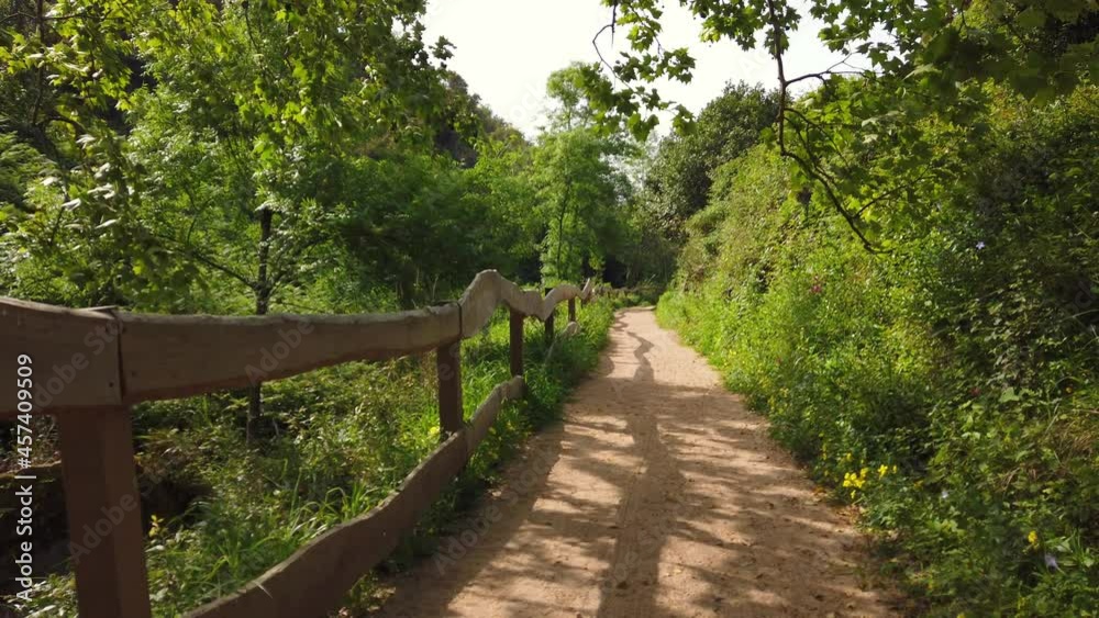 Amazing and relaxing path in the forest. hiking trail Amazing and relaxing path in the forest. hiking trail