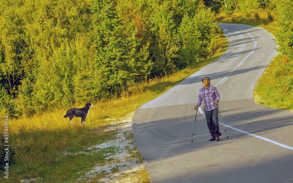 Obraz premium a man and a dog are trying to find a place to rest in the mountains