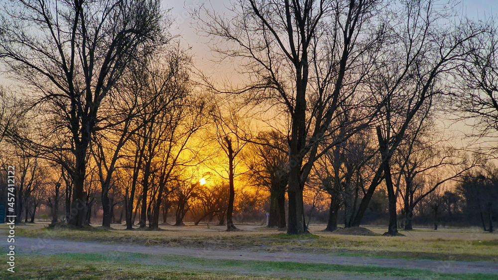 sunset in the field