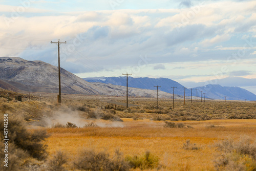 Telephone poles going off into the distance in the desert photo