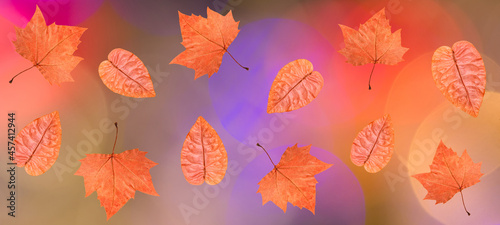 Colorful abstract background for the autumn season.
