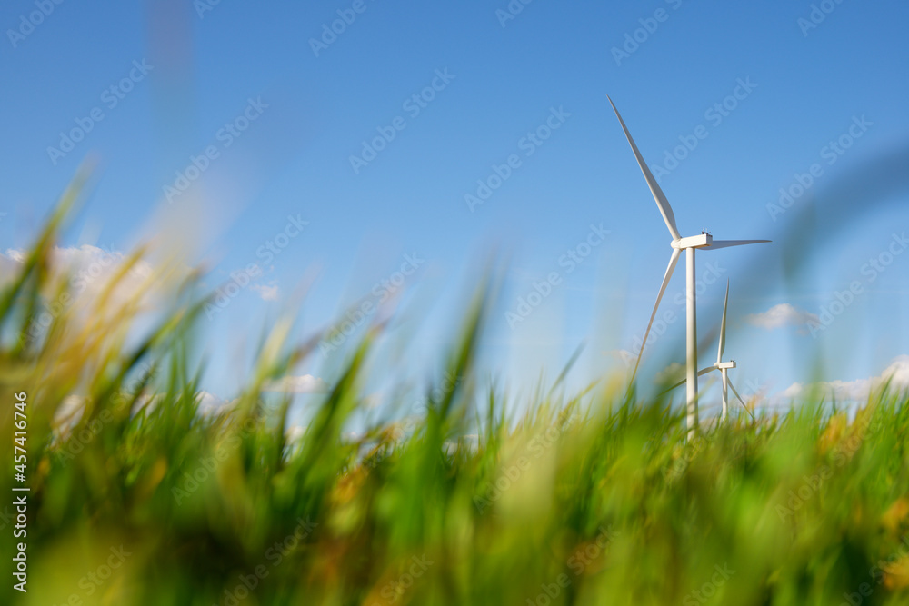 Windmills for renewable electric energy production in Spain. Windmills for renewable electric energy production in Spain.