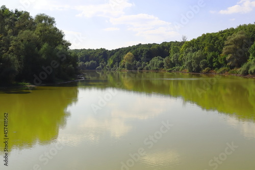 reflection of trees in water