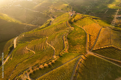 Rural landscape with agricultural plantations on hills