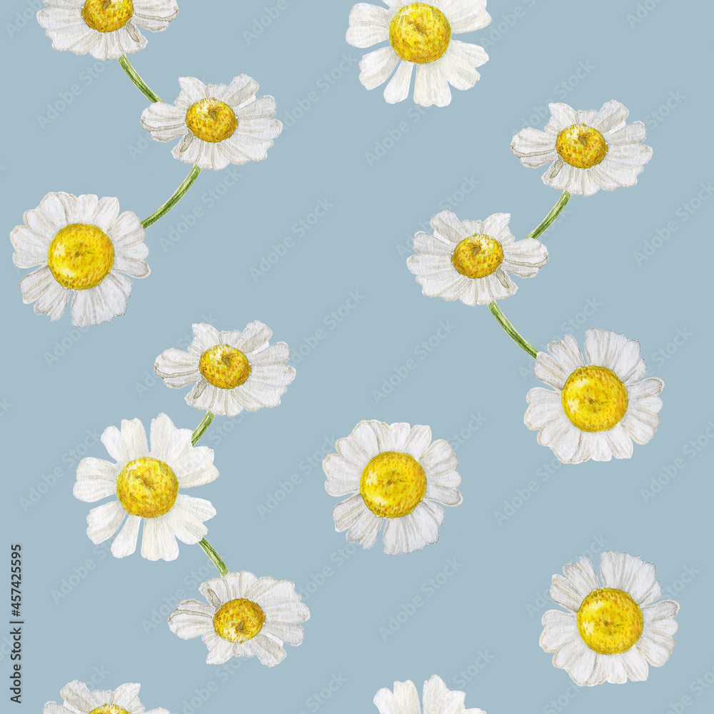watercolor illustration of decorative chamomile pattern on gray-blue background for textiles and scrapbooking