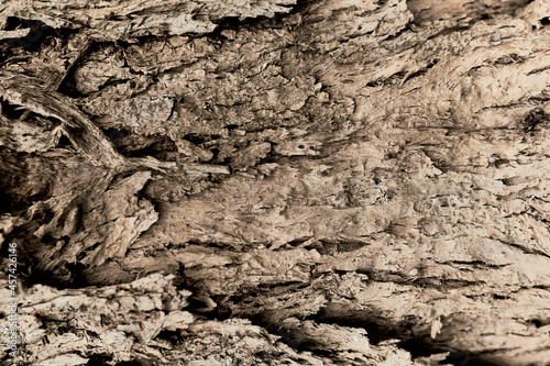 old dry tree bark with beautiful cracked texture