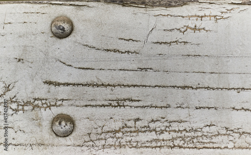 old dry tree bark with beautiful cracked texture