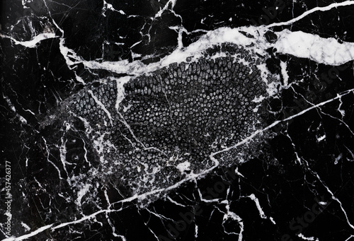 marble wall with cracked pattern texture